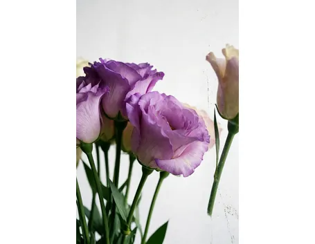 bouquet per anniversari