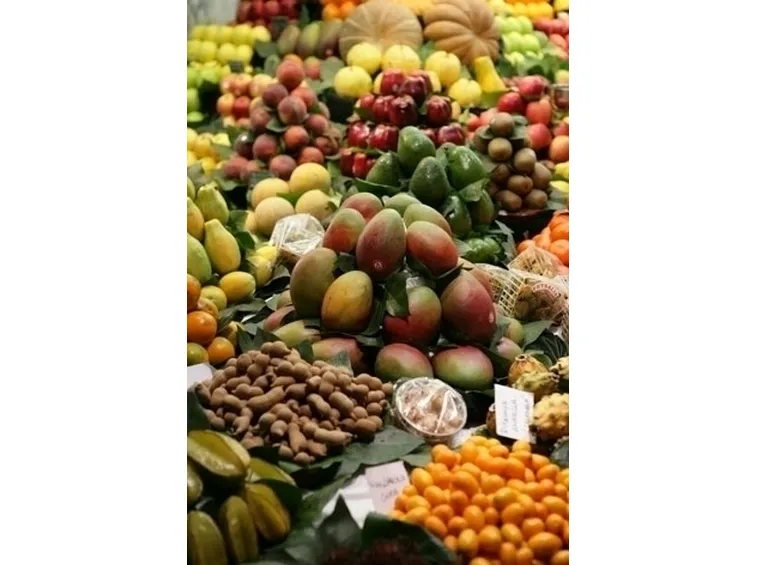ALBERI DA FRUTTA