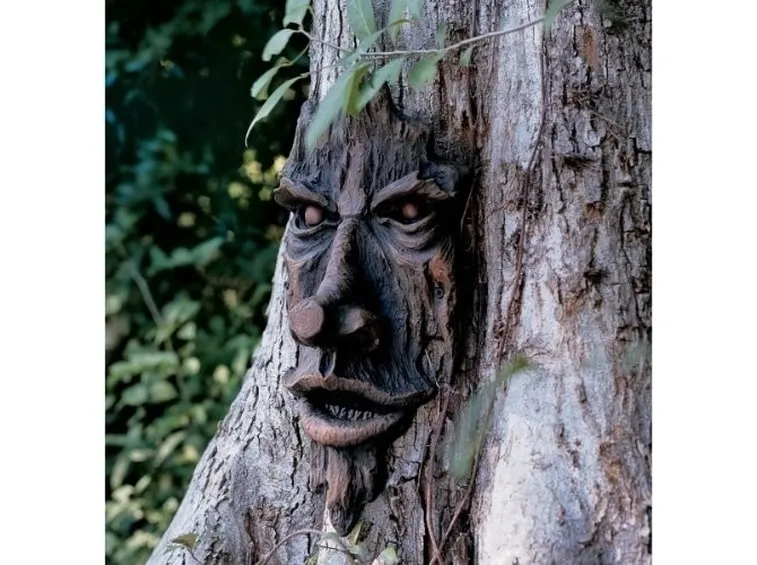 Alberi da terrazzo 
