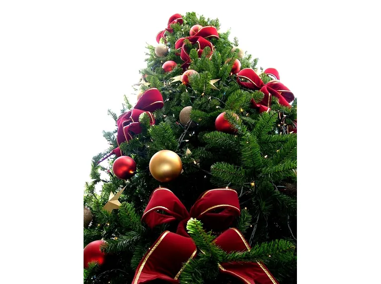 Risposta : albero di Natale