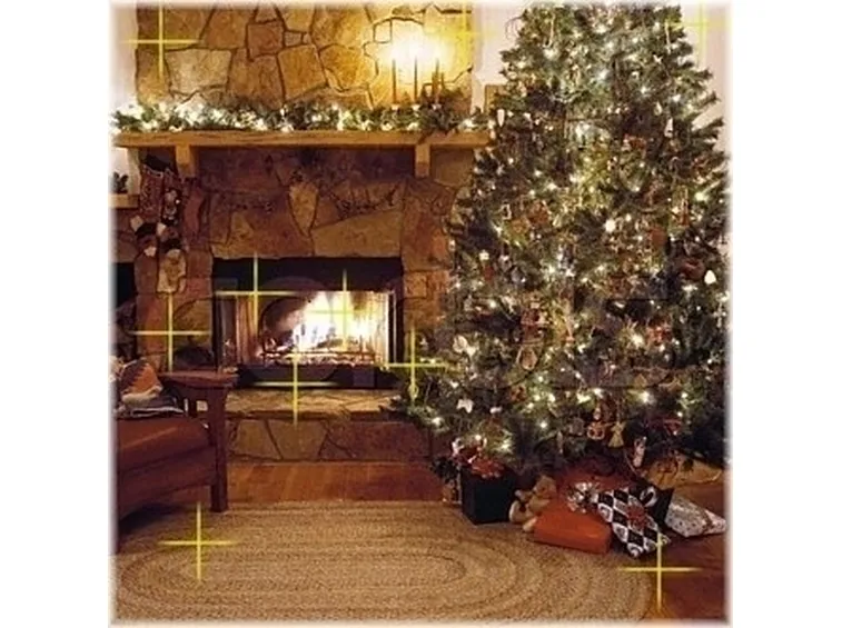 L’albero di Natale in casa