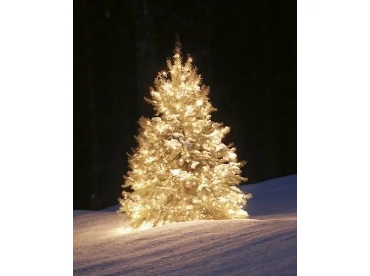 albero di natale-13