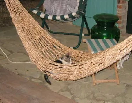 amaca-9