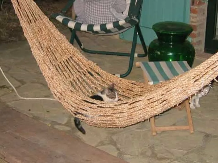 amaca-9