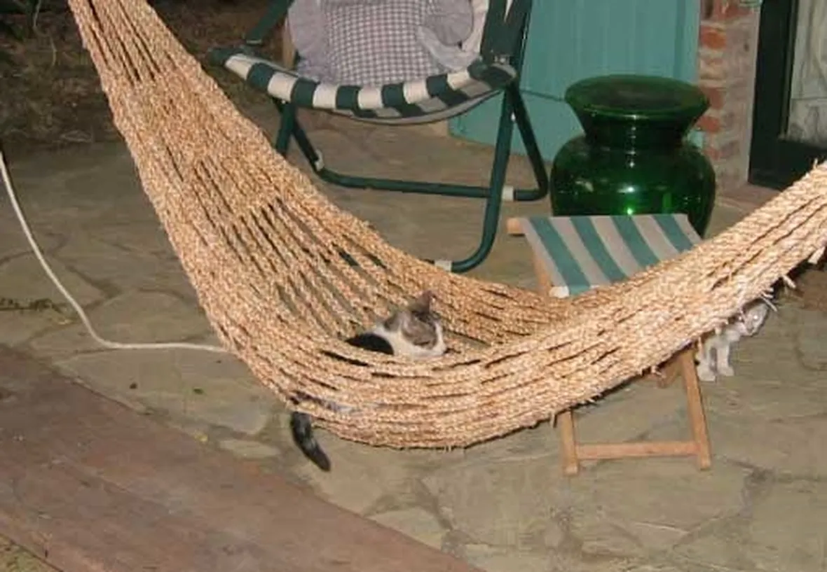 amaca-9