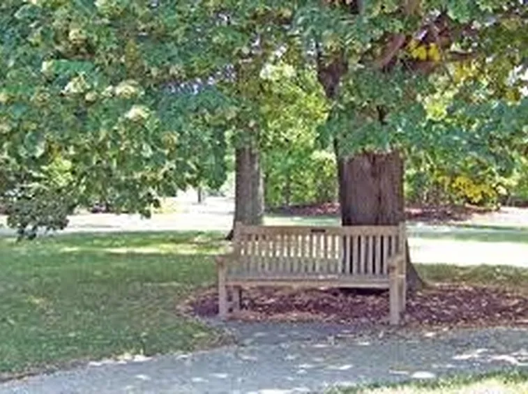 Panchine