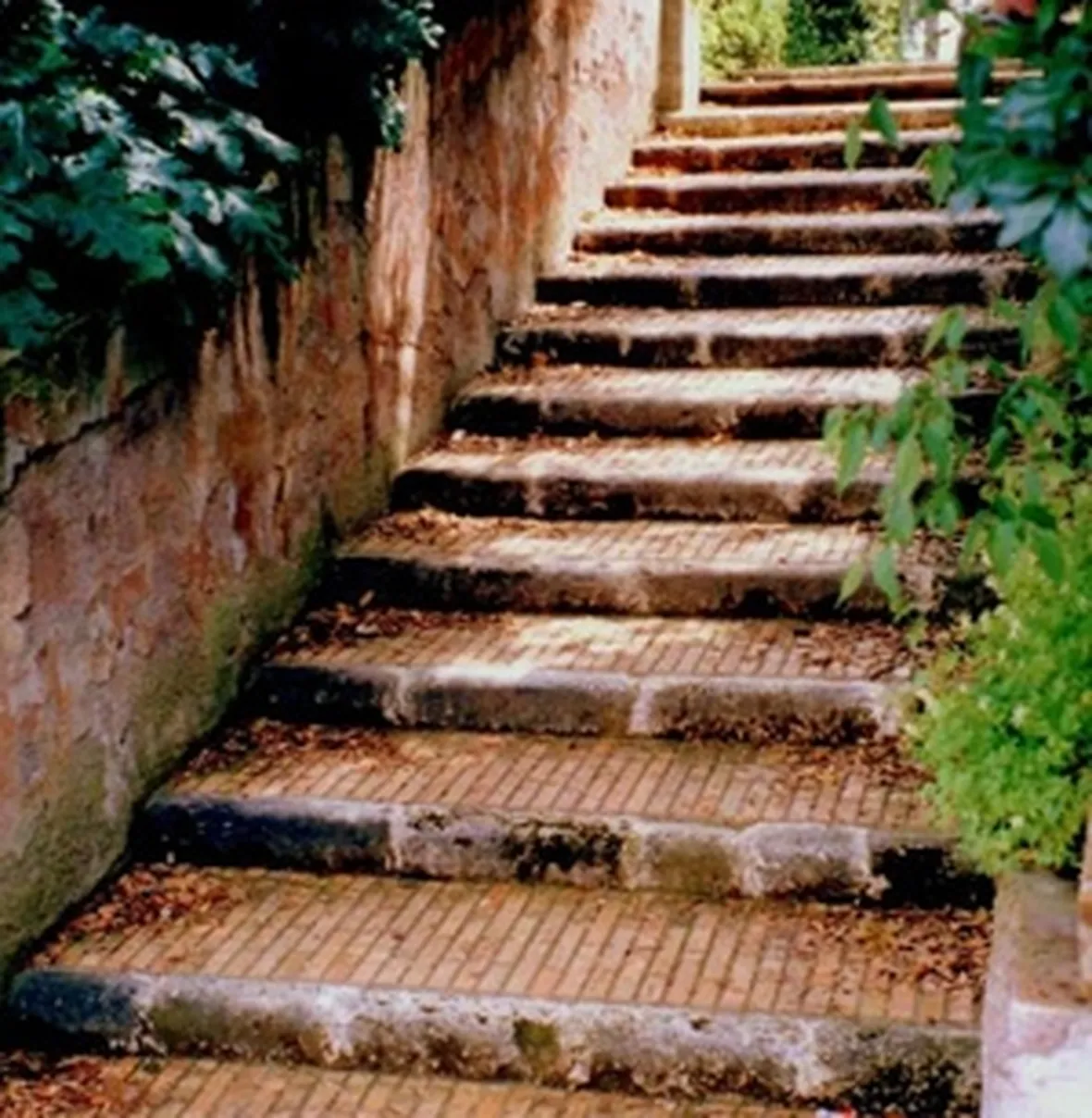 pavimenti in cotto per esterni-7