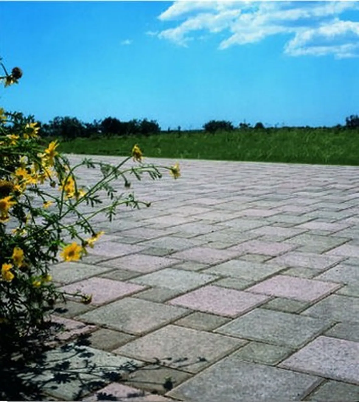 pavimenti in cotto per esterni-9