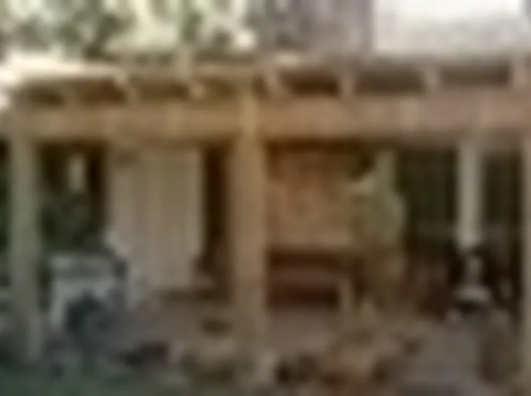 Le caratteristiche principali dei pergolati in legno