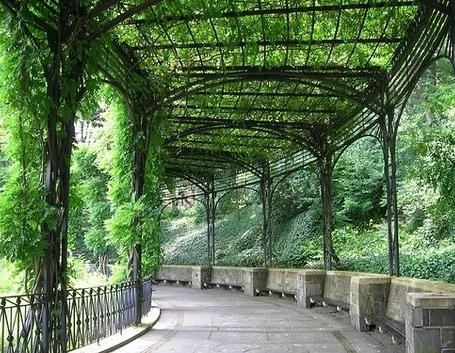 pergole in ferro-6