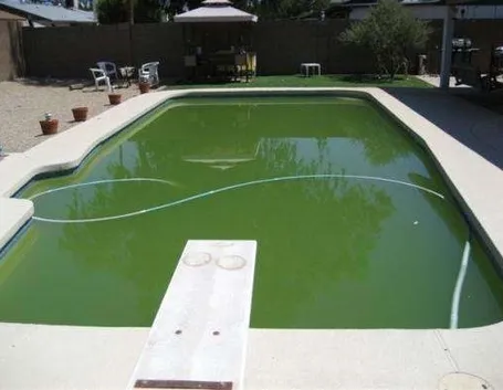 manutenzione piscina-6