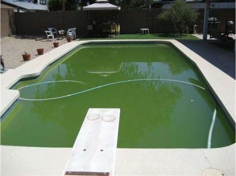 manutenzione piscina-6