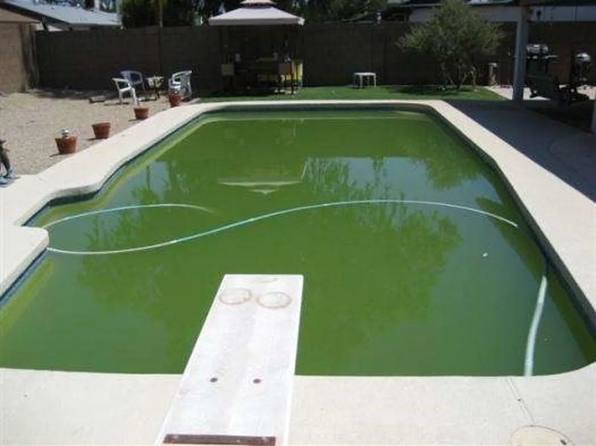 manutenzione piscina-6