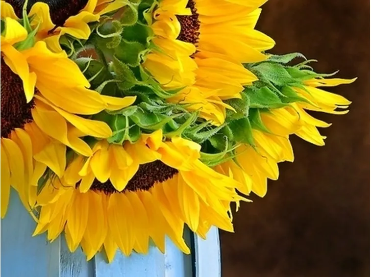 mazzo di fiori