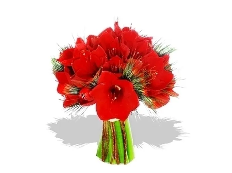 fiori online