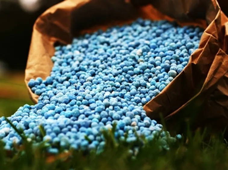 Concimazione e Fertilizzazione-2