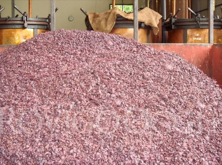 Concimazione e Fertilizzazione-6