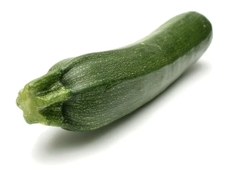 Cucurbitacee-9