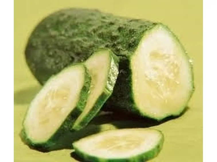 Cucurbitacee-8