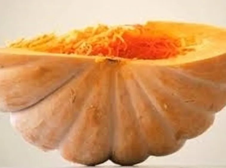 Cucurbitacee-7
