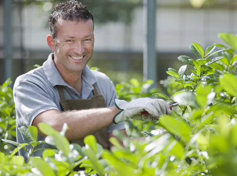 cura del giardino