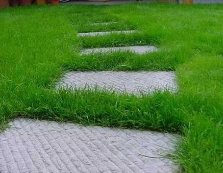 Elementi progettazione giardini-3