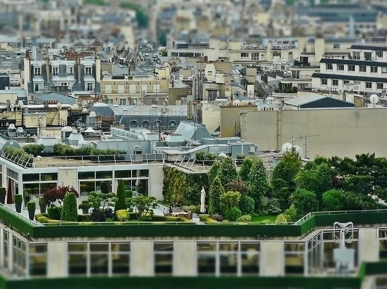 Come progettare un giardino