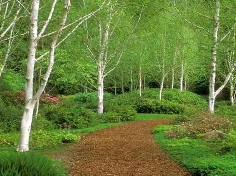 Elementi progettazione giardini-2