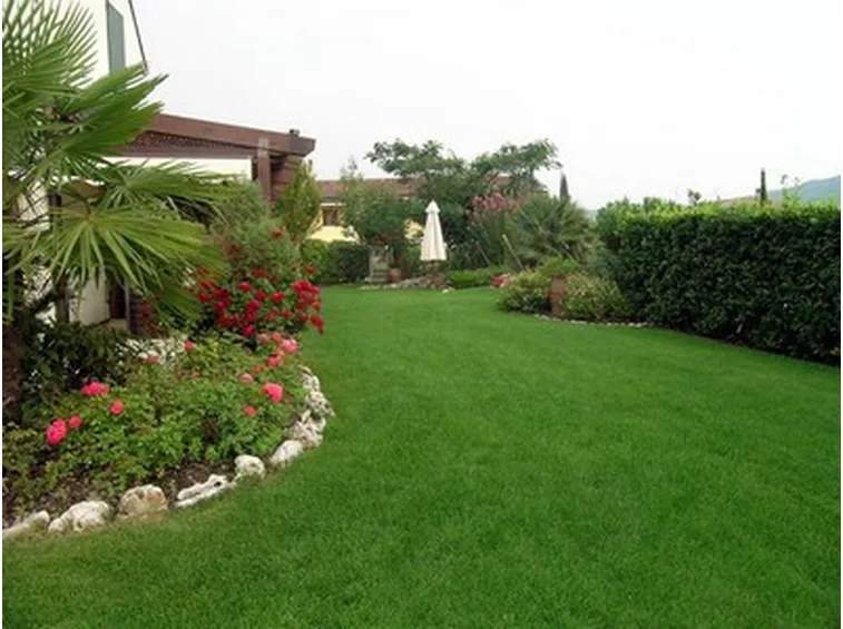 Elementi progettazione giardini