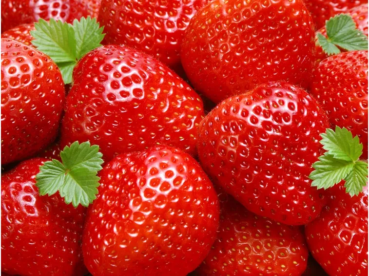 Fragola-13