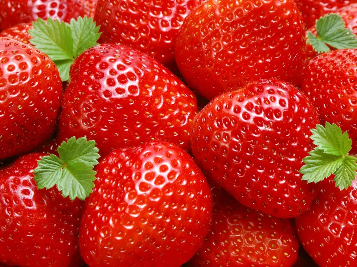 Fragola-13