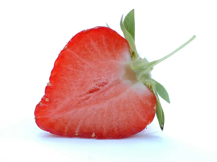 Fragola-19