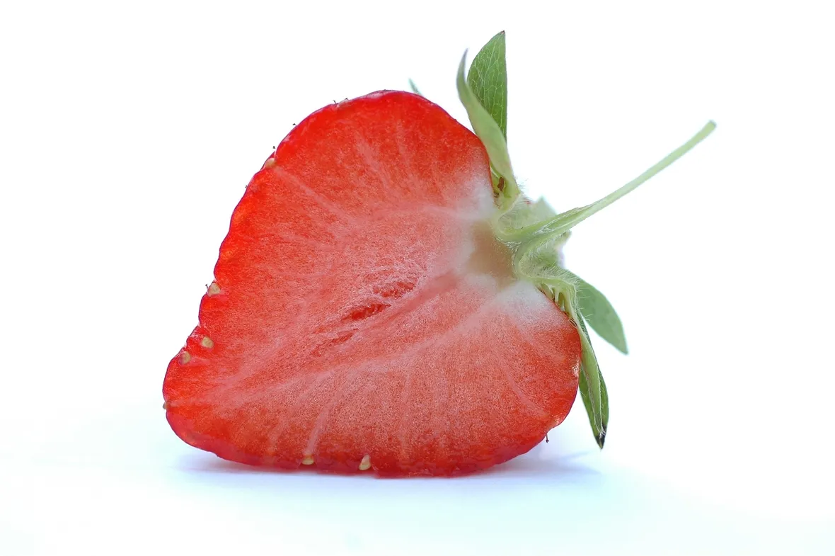 Fragola-19