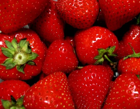 Fragola-26