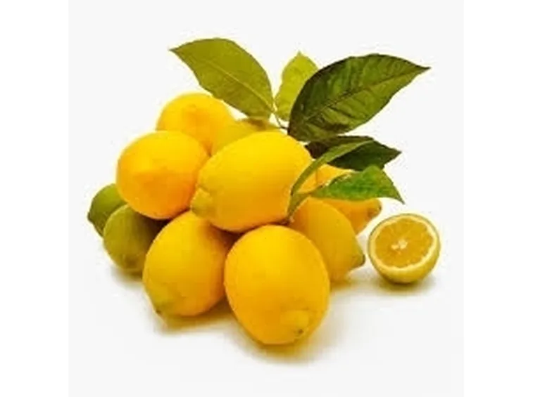 Risposta : pianta di limone