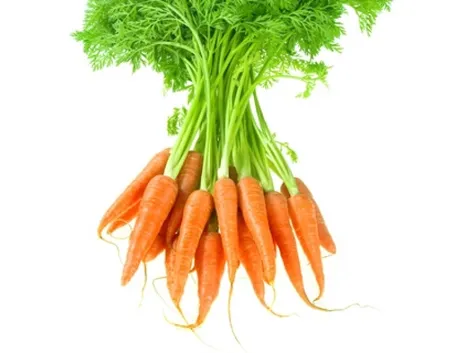 Carota-10
