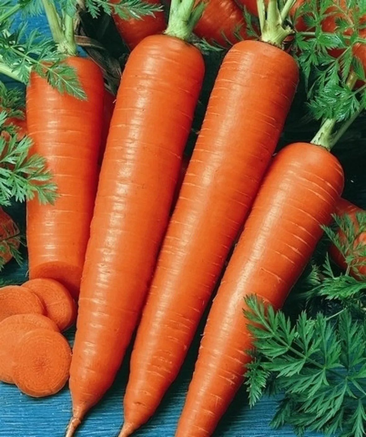 Carota-11