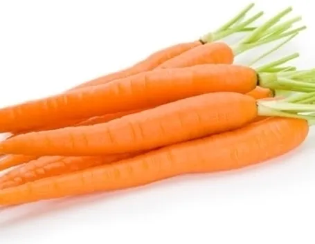 Carota-14