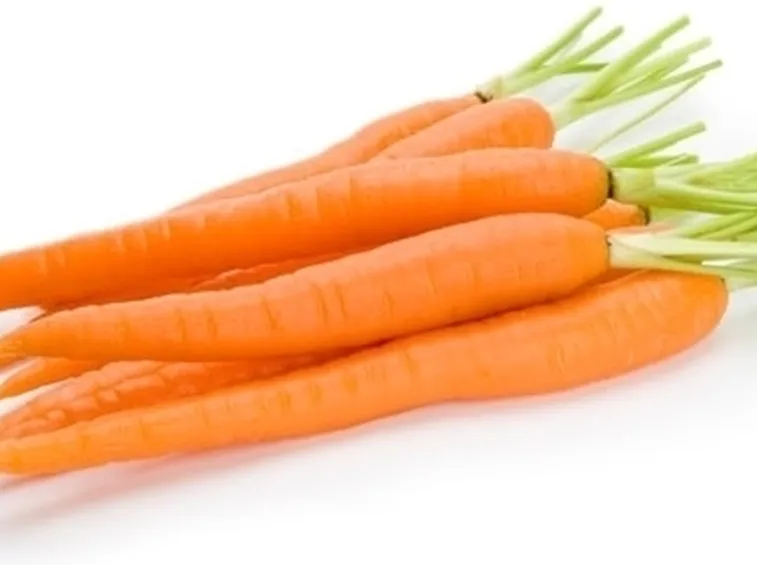 Carota-14