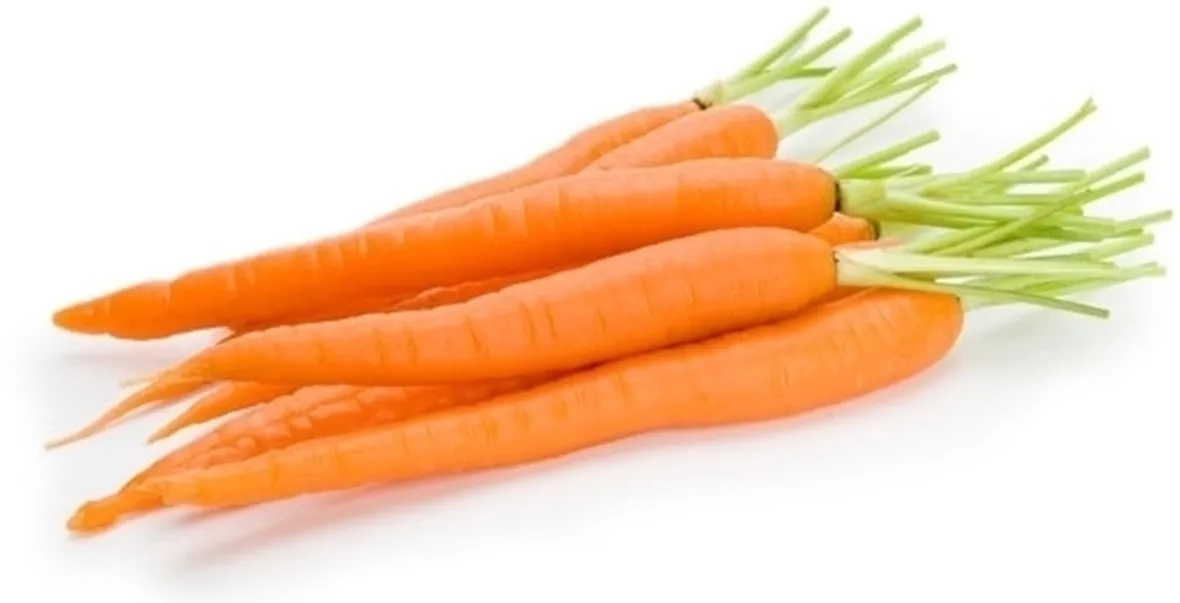 Carota-14