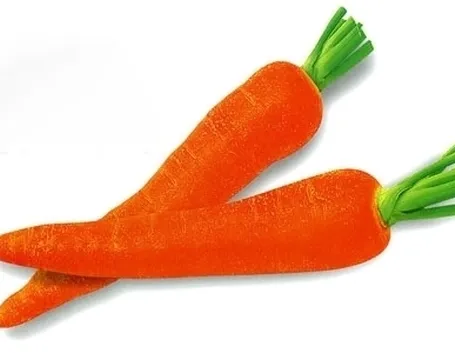 Carota-15