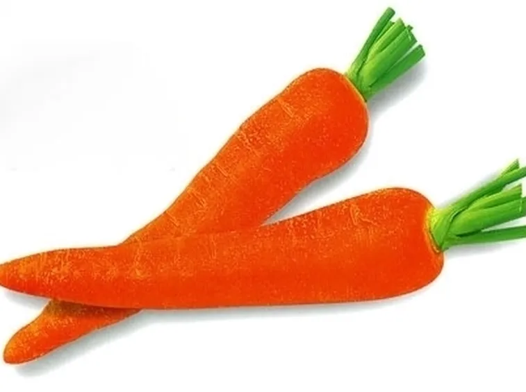 Carota-15