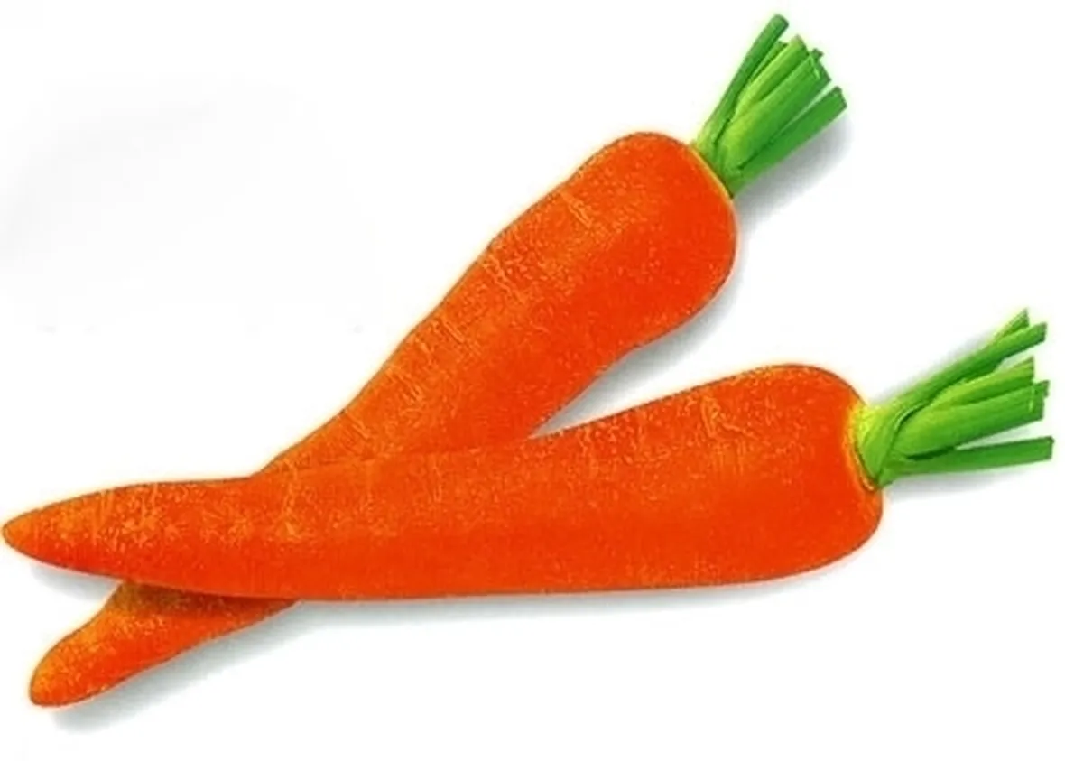 Carota-15