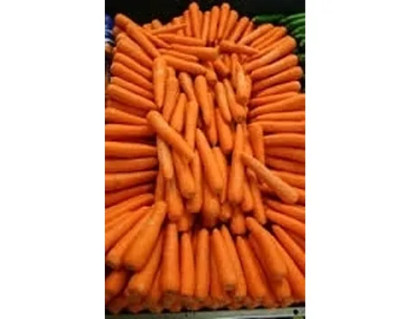 Carota-6