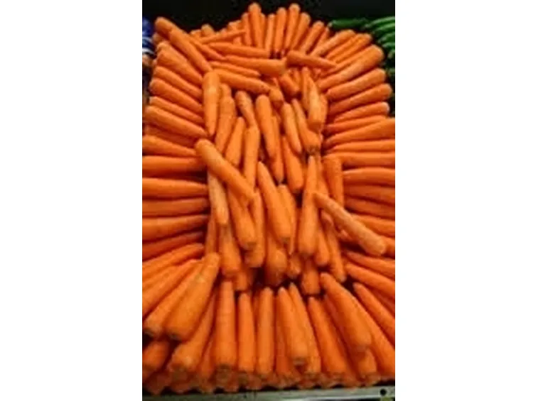 Carota-6