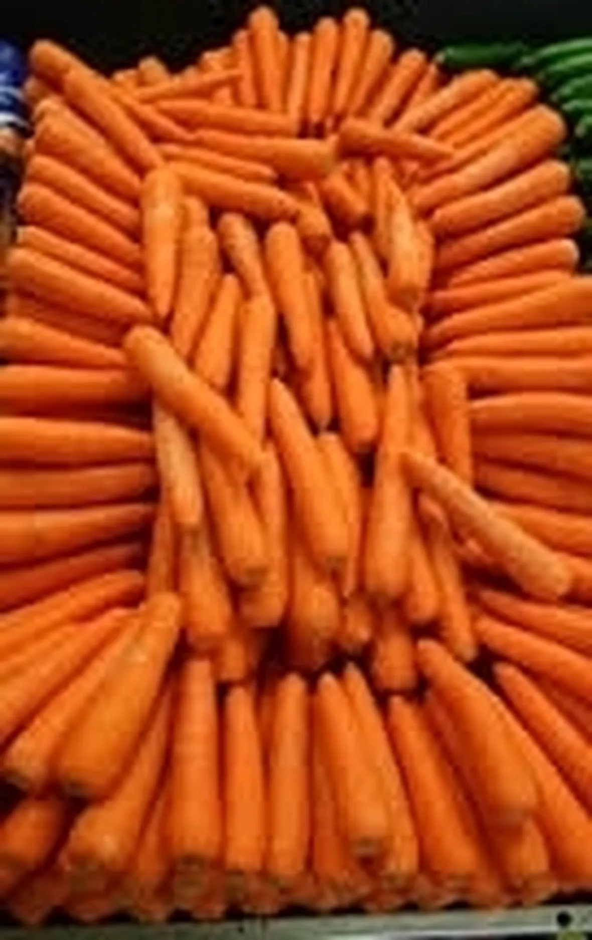 Carota-6