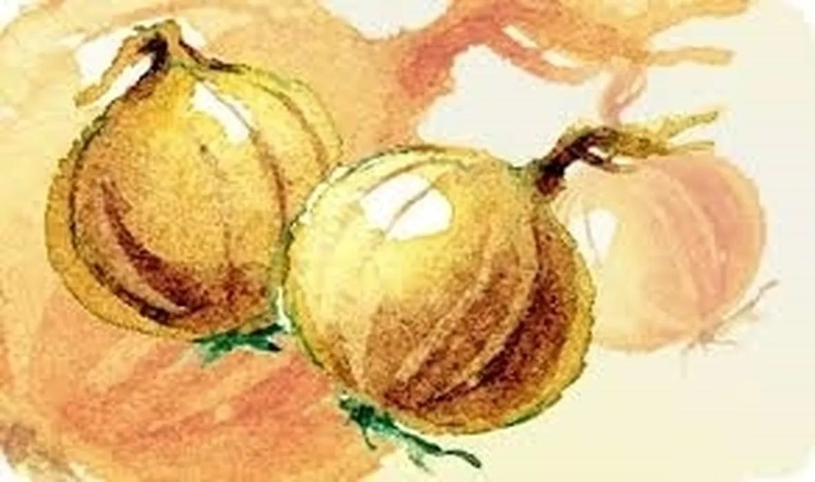 Cipolla-12