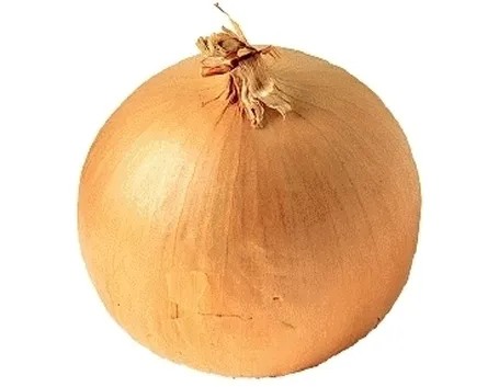 Cipolla-29