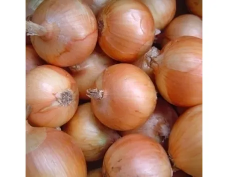 Cipolla rossa