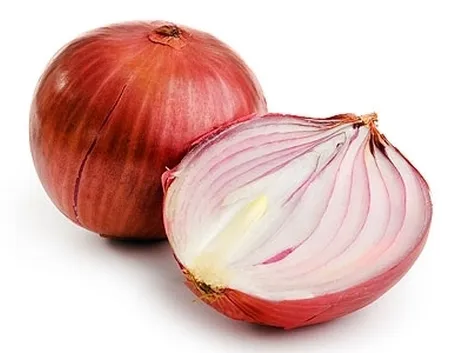 Cipolla
